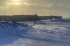 Hills_of_Mono