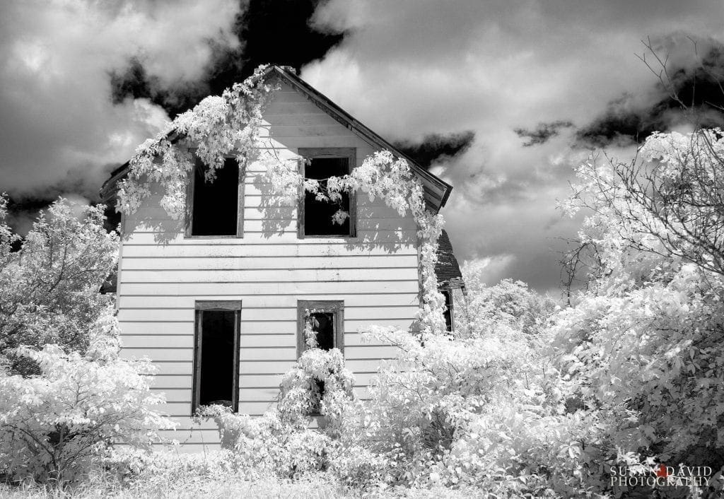 Home in Ruins Infrared