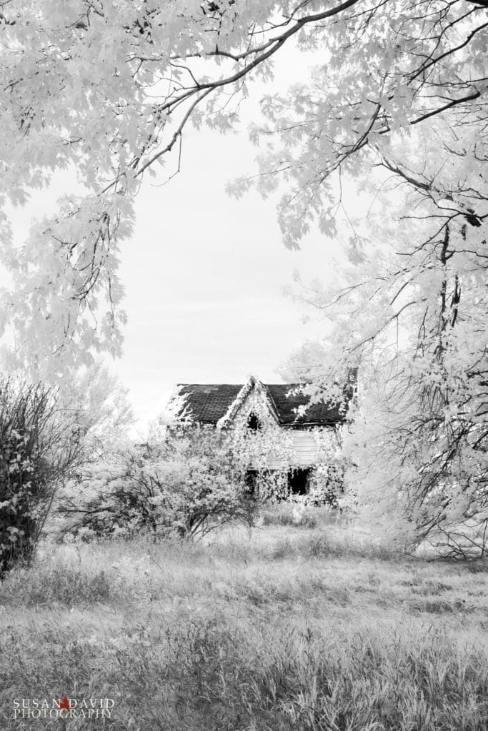 Abandoned House IR